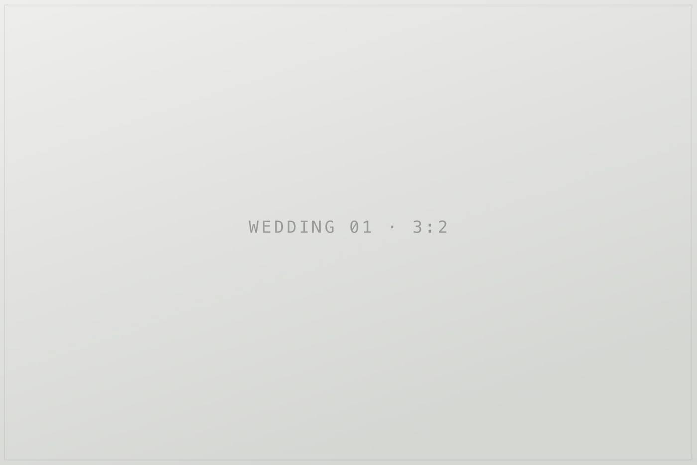 Плейсхолдер кадру 1 в галереї «wedding». TODO: замінити на опис реальної фотографії.