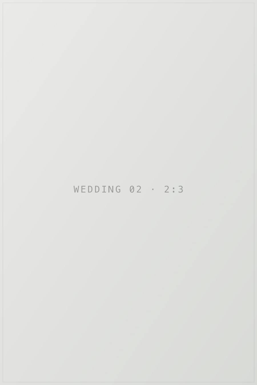Плейсхолдер кадру 2 в галереї «wedding». TODO: замінити на опис реальної фотографії.
