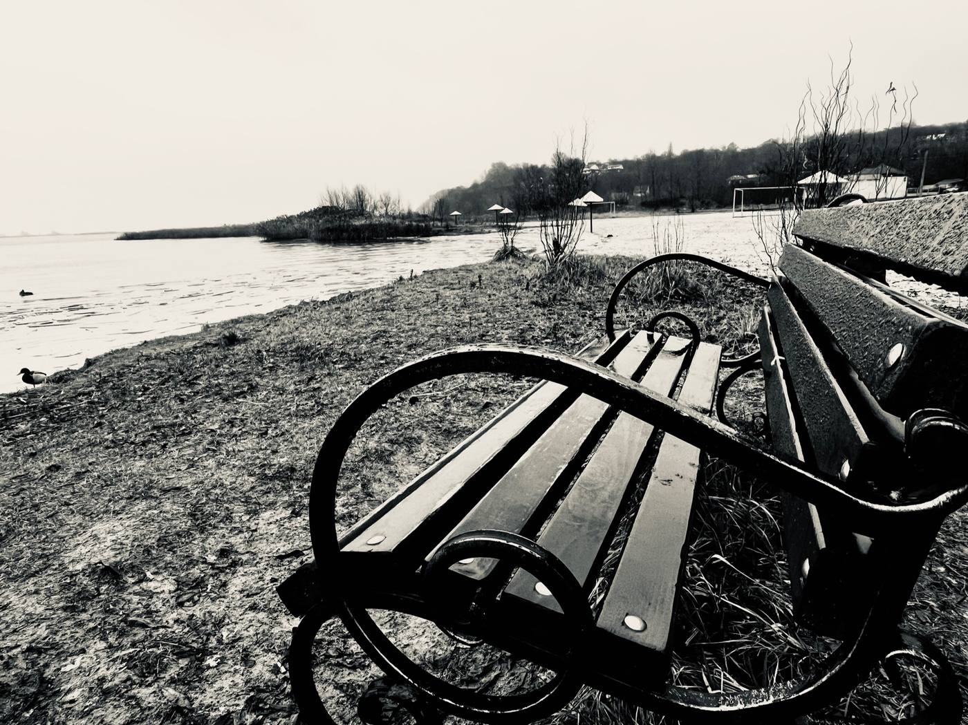 Перекинута лава на березі, чорно-біле