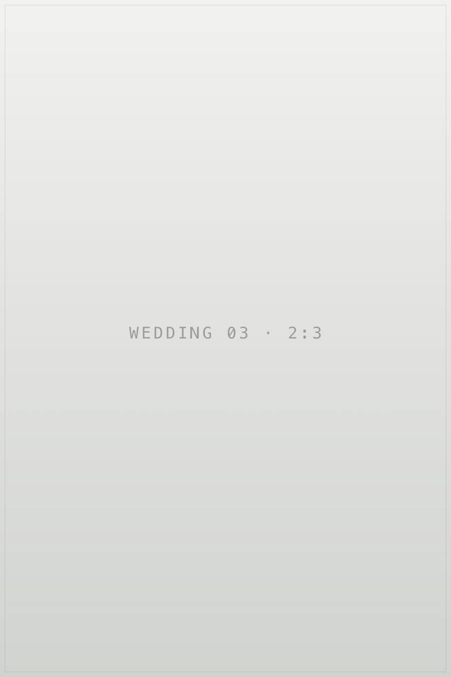 Плейсхолдер кадру 3 в галереї «wedding». TODO: замінити на опис реальної фотографії.