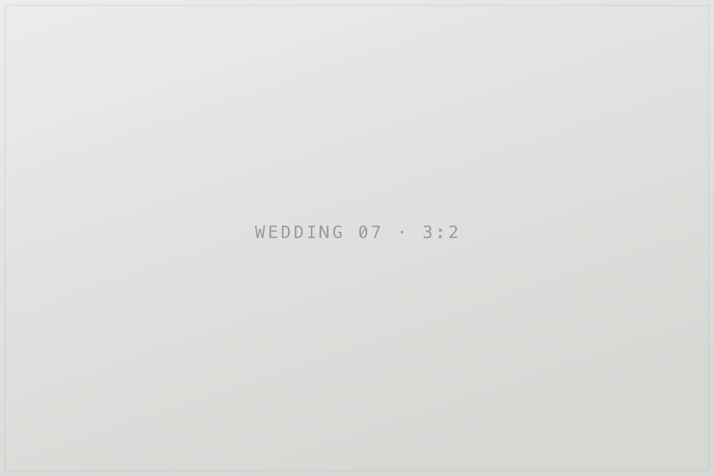 Плейсхолдер кадру 7 в галереї «wedding». TODO: замінити на опис реальної фотографії.