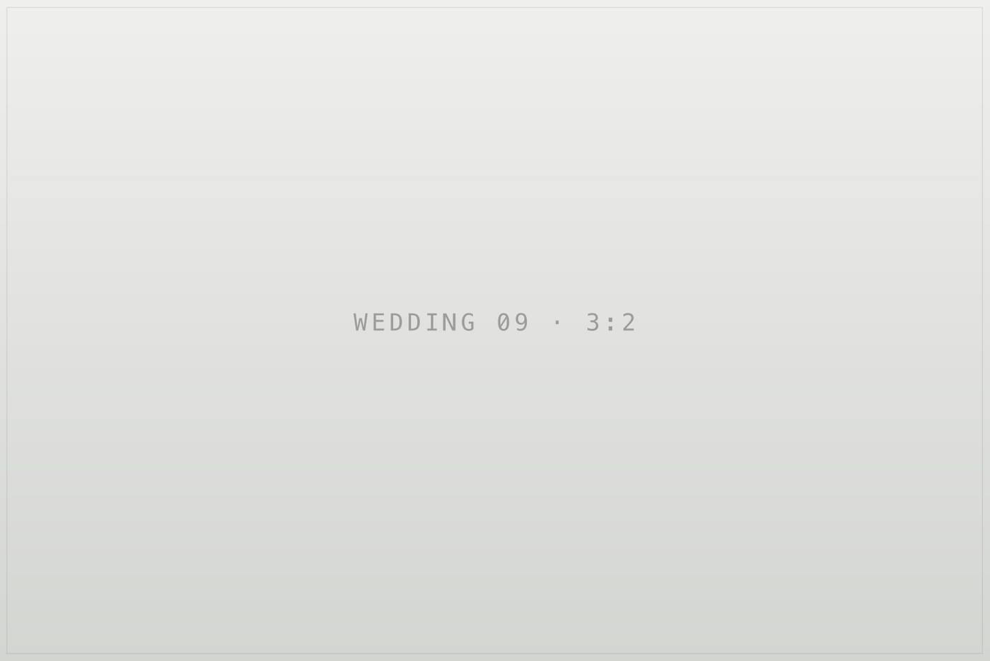 Плейсхолдер кадру 9 в галереї «wedding». TODO: замінити на опис реальної фотографії.