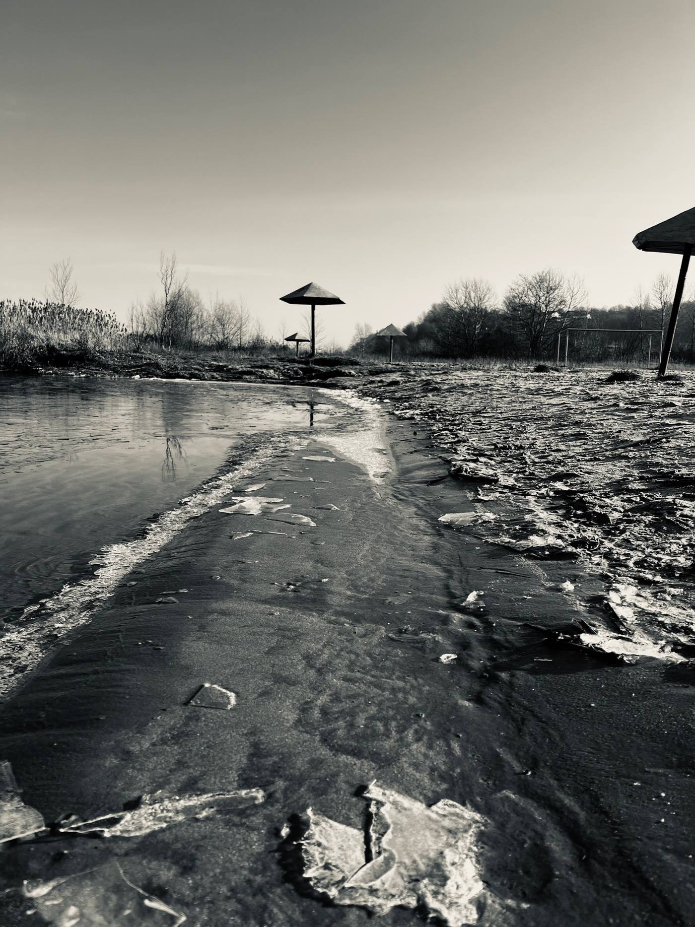 Талий берег і парасолі вдалині, чорно-біле