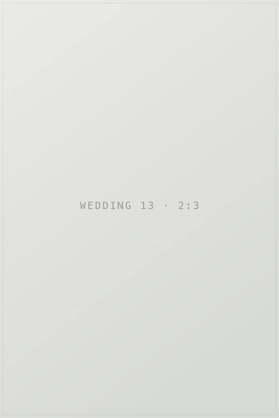 Плейсхолдер кадру 13 в галереї «wedding». TODO: замінити на опис реальної фотографії.