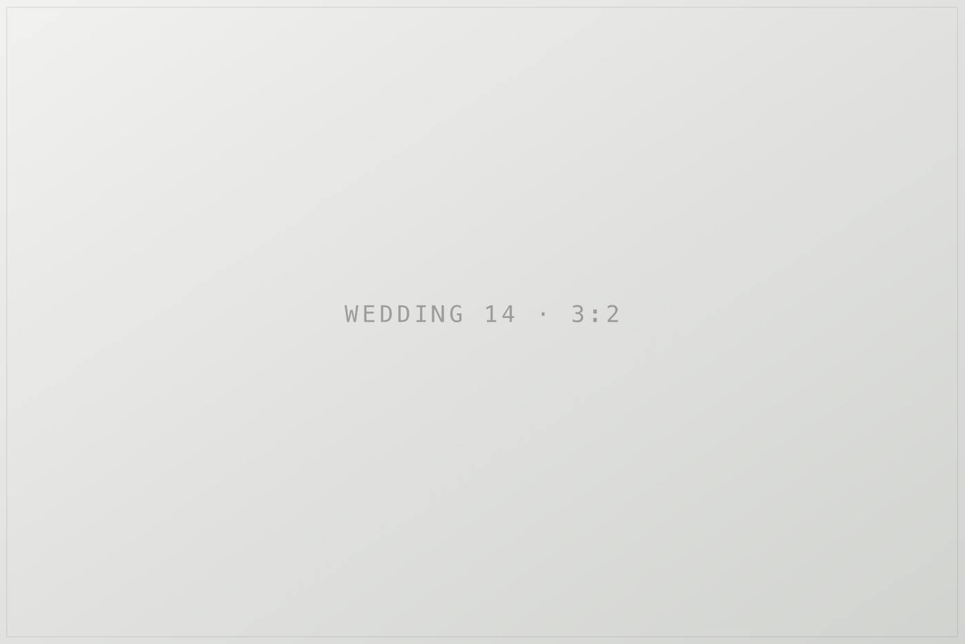 Плейсхолдер кадру 14 в галереї «wedding». TODO: замінити на опис реальної фотографії.