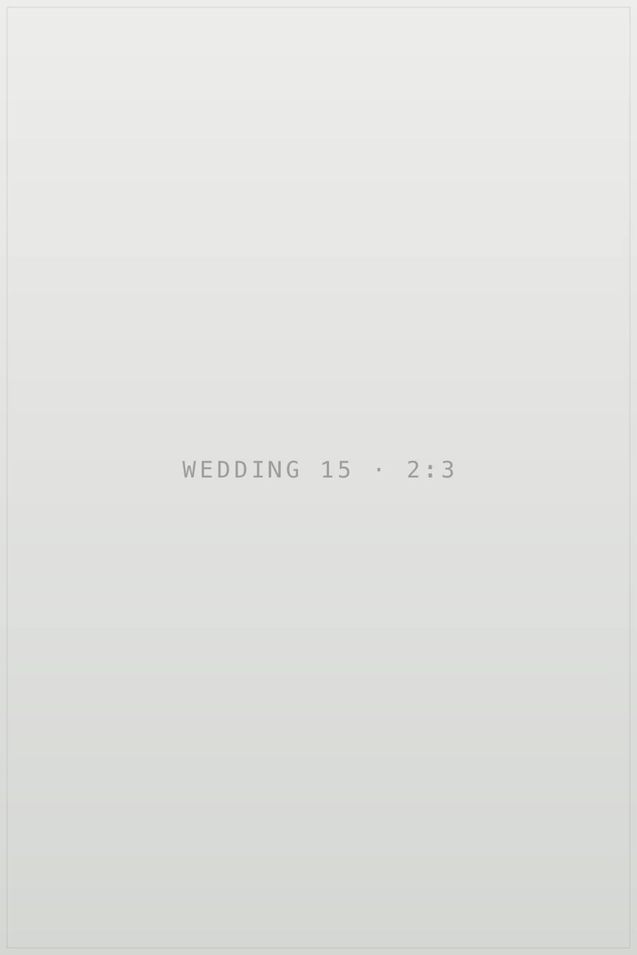 Плейсхолдер кадру 15 в галереї «wedding». TODO: замінити на опис реальної фотографії.